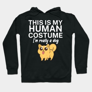 This is my human costume. I'm really a dog. Hoodie